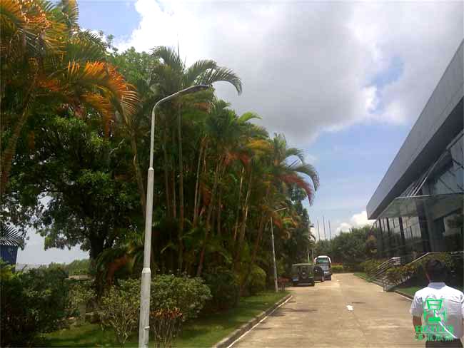 厂区路灯改造 厂区路灯改造