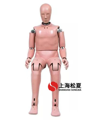 橡胶假人 仿真人体模型